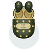 Special Edition